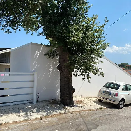 Nyaraló Sonia's House